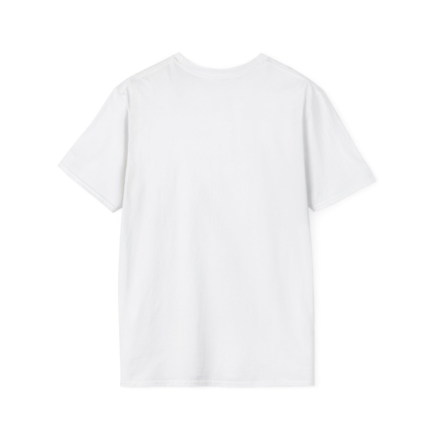 Boy Group Stan T-Shirt | Unisex Softstyle Tee for Fans | Perfect for Concerts, Casual Wear, Gifts